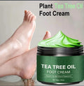 Soothing Aloe Vera & Tea Tree Foot Moisturizer